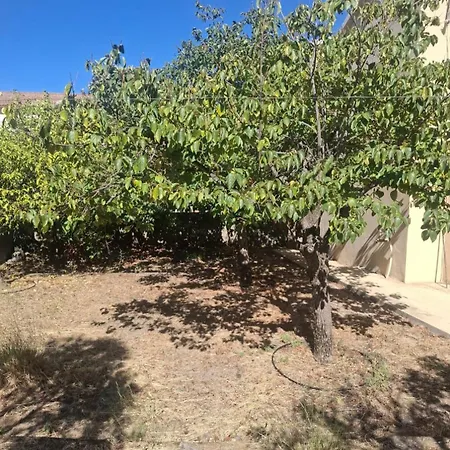 Holiday home Casa Anna Padru