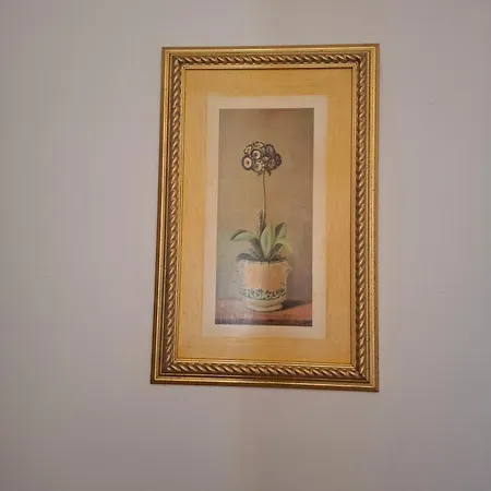Casa Anna Padru